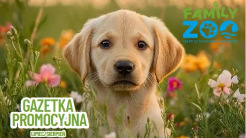 GAZETKA PROMOCYJNA LIPIEC - SIERPIEŃ 