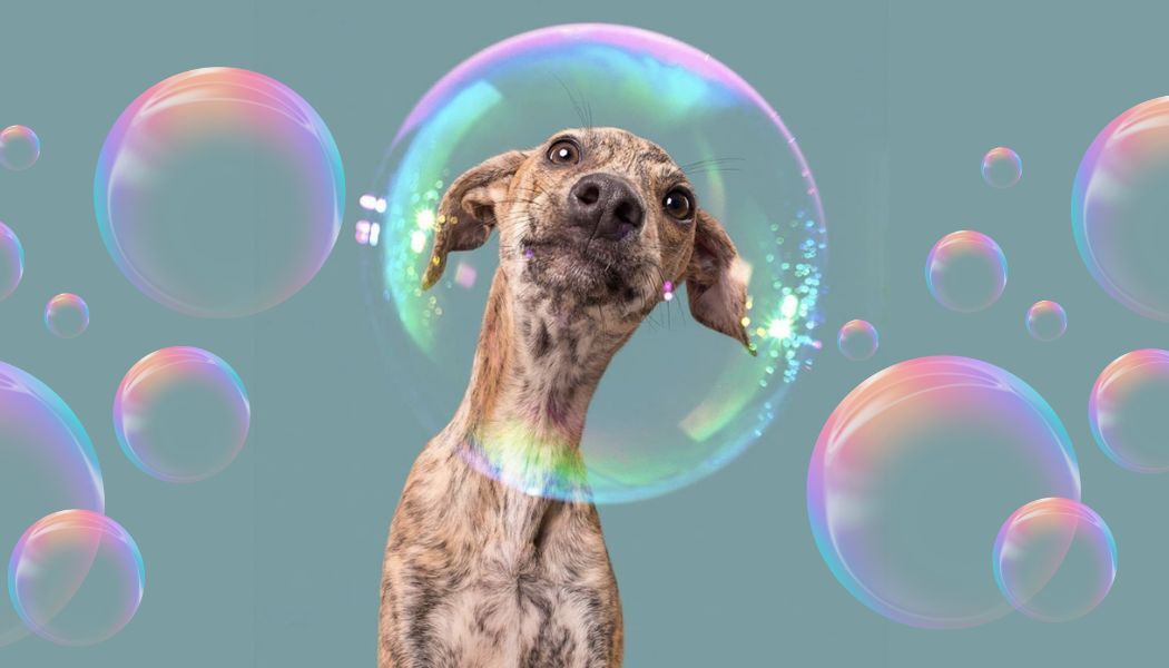 GAZETKA PROMOCYJNA STYCZEŃ - LUTY 2026 