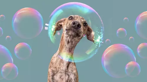 GAZETKA PROMOCYJNA STYCZEŃ - LUTY 2026 